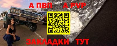 ешки Кингисепп