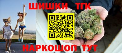 ешки Кингисепп