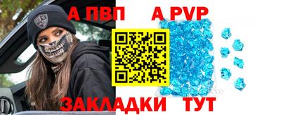 ешки Кингисепп