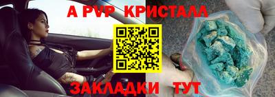 ешки Кингисепп