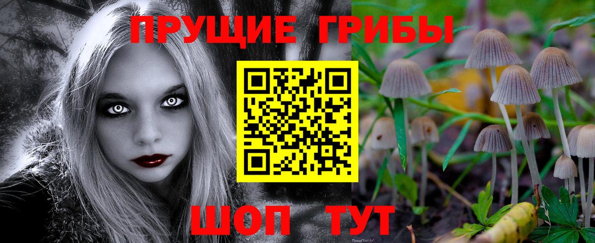 APVP Куйбышев