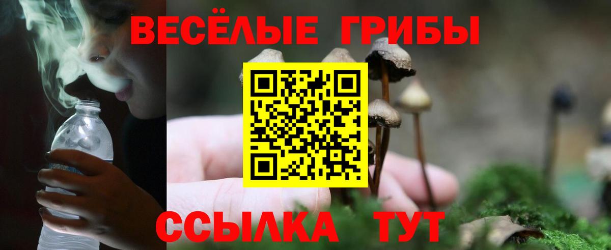 Псилоцибиновые грибы Magic Shrooms  Вход с VPN  Куйбышев 